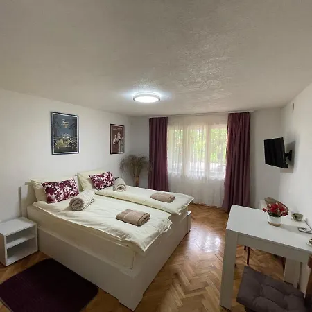 Stankovic Apartment *