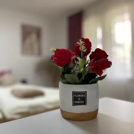 Stankovic Apartment Soko Banja