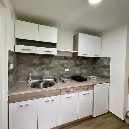 Stankovic Apartment *